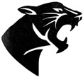 BRC-panther-black-icon